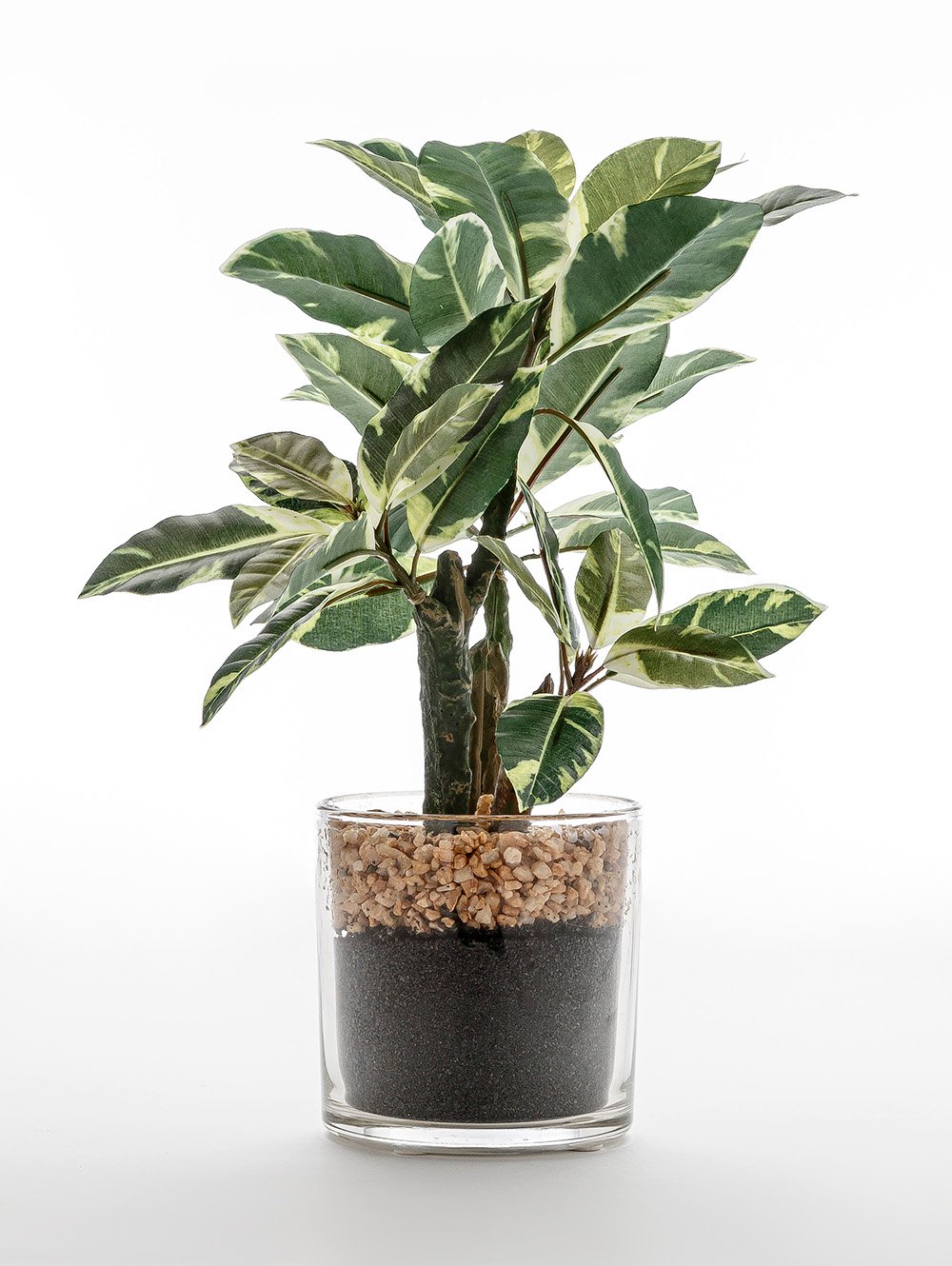 maceta-MACETA FICUS ALTISSIMA GLASS-AEROLAB-2.jpg image number null