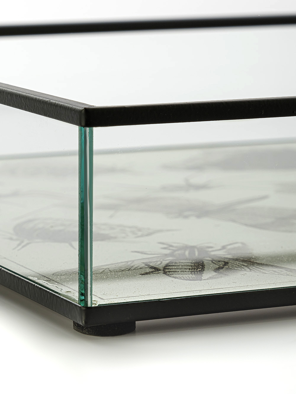 BANDEJA BITELY-TAI-1.jpg image number null