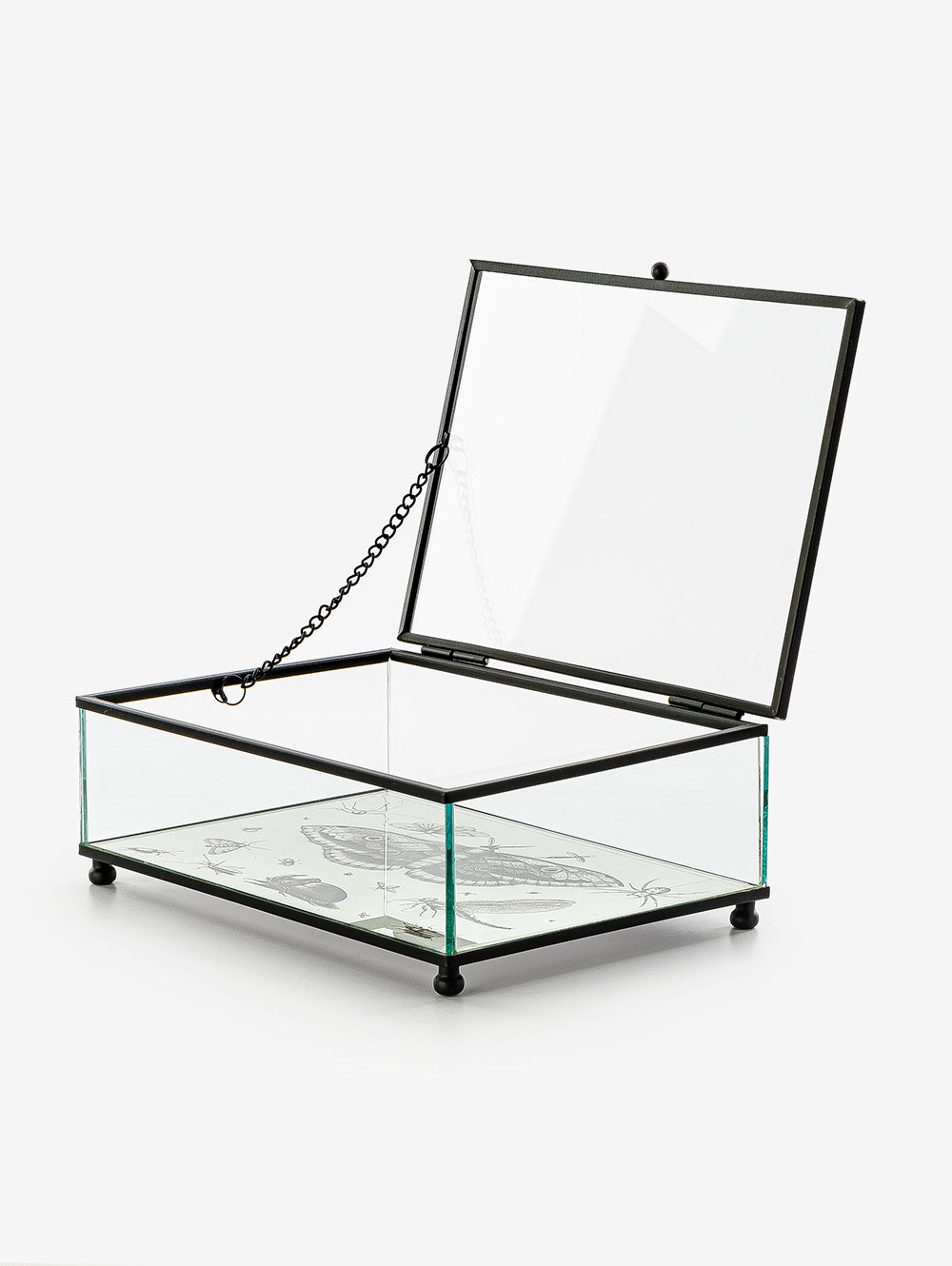 CAJA DE VIDRIO BITELY-TAI-4.jpg image number null