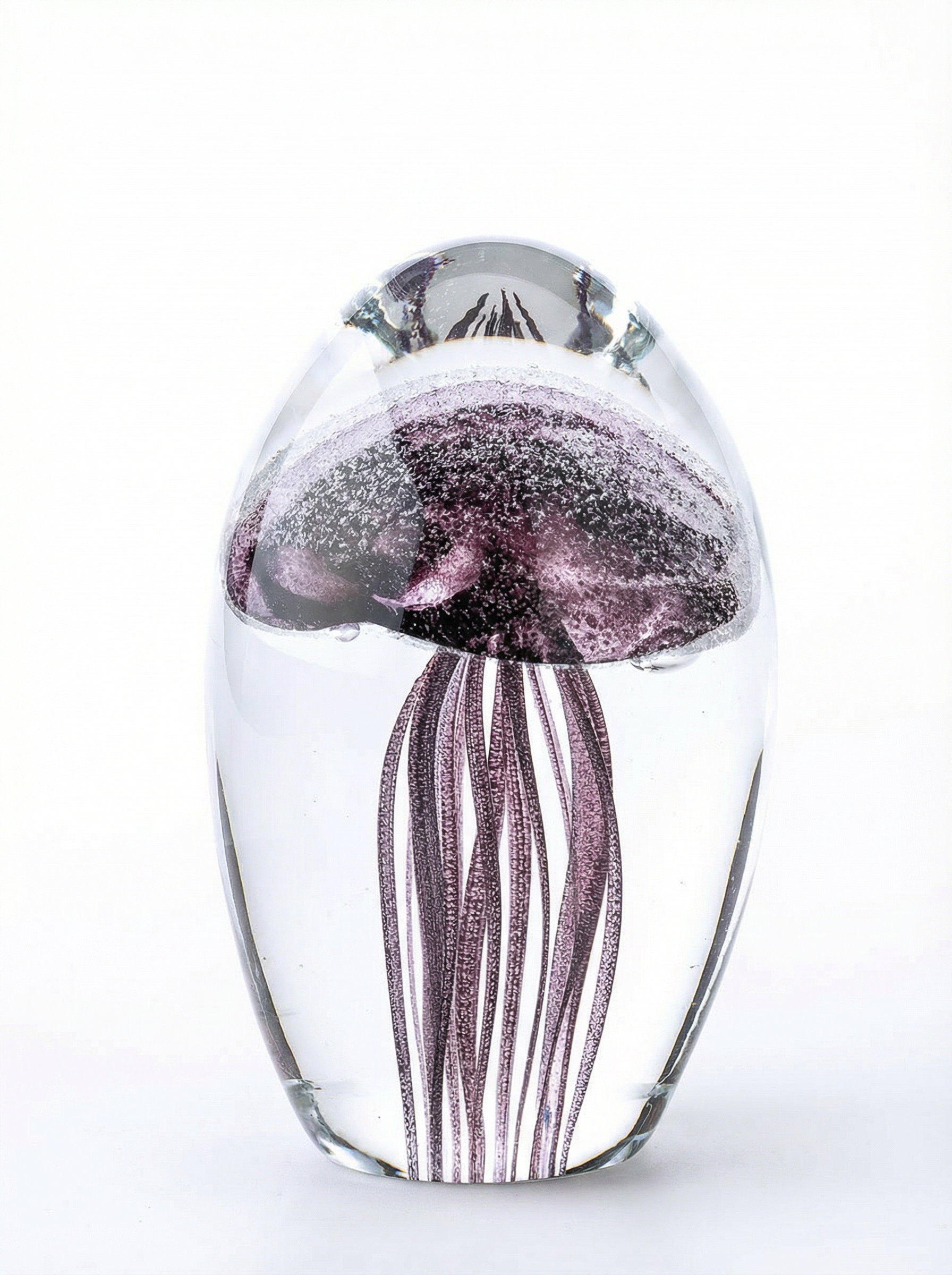 PISAPAPELES JELLY FISH BLACK S image number null