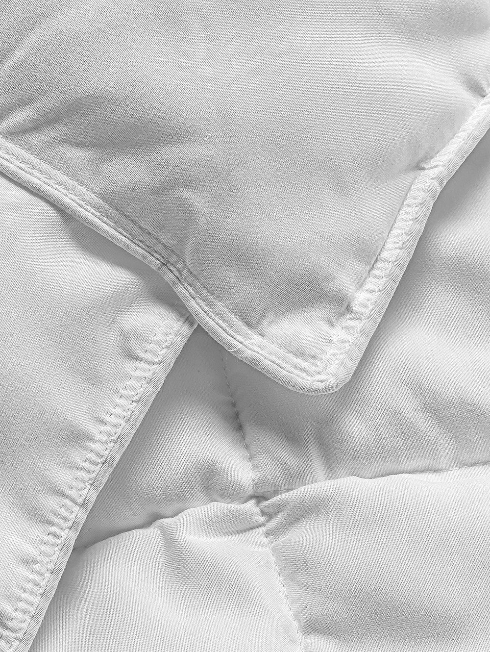 EDREDON CALIFORNIA image number null