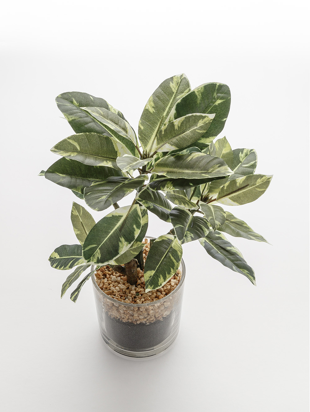 maceta-MACETA FICUS ALTISSIMA GLASS-AEROLAB-3.jpg image number null