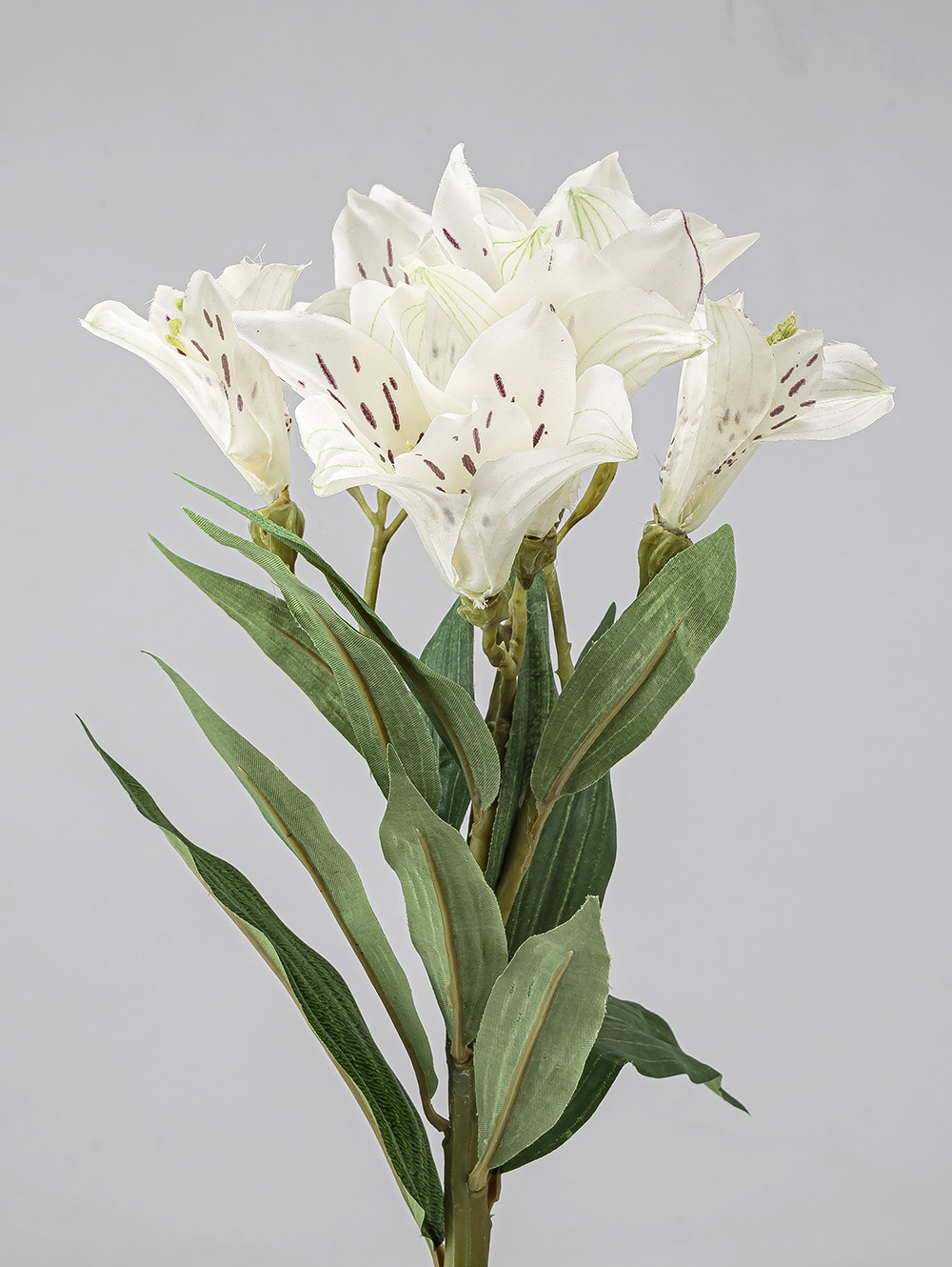 VARA LIRIO image number null