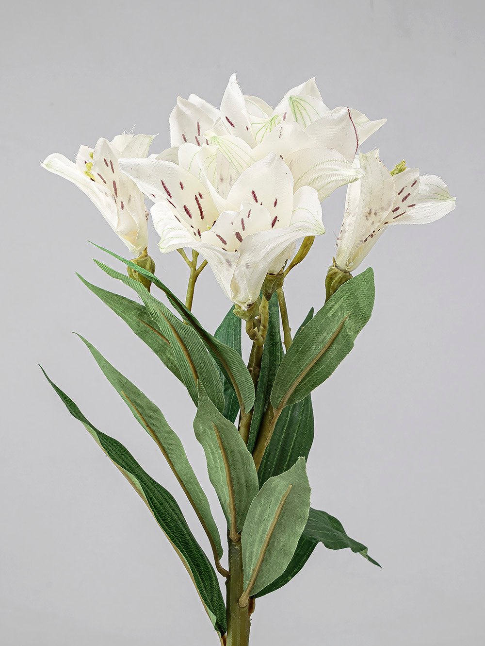 planta-artificial-VARA-LIRIO-LC-CISNES-3.jpg image number null