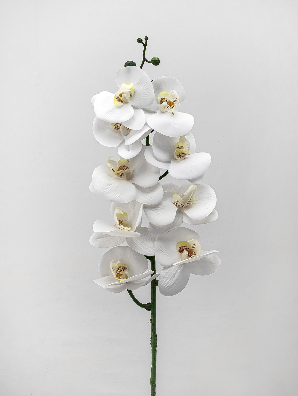 VARA ORQUIDEA TESS WHITE image number null