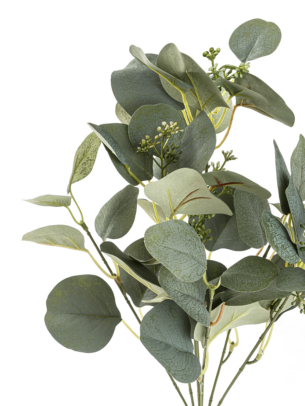 VARA EUCALIPTO ELISA image number null