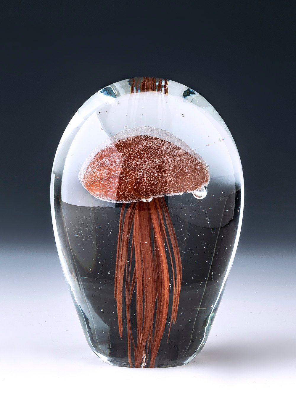 PISAPAPELES JELLY FISH BORDEAUX L image number null