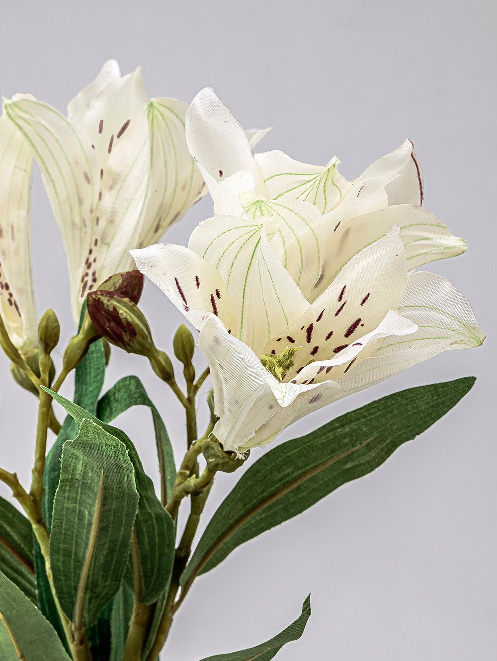 planta-artificial-VARA-LIRIO-LC-CISNES-1.jpg image number null