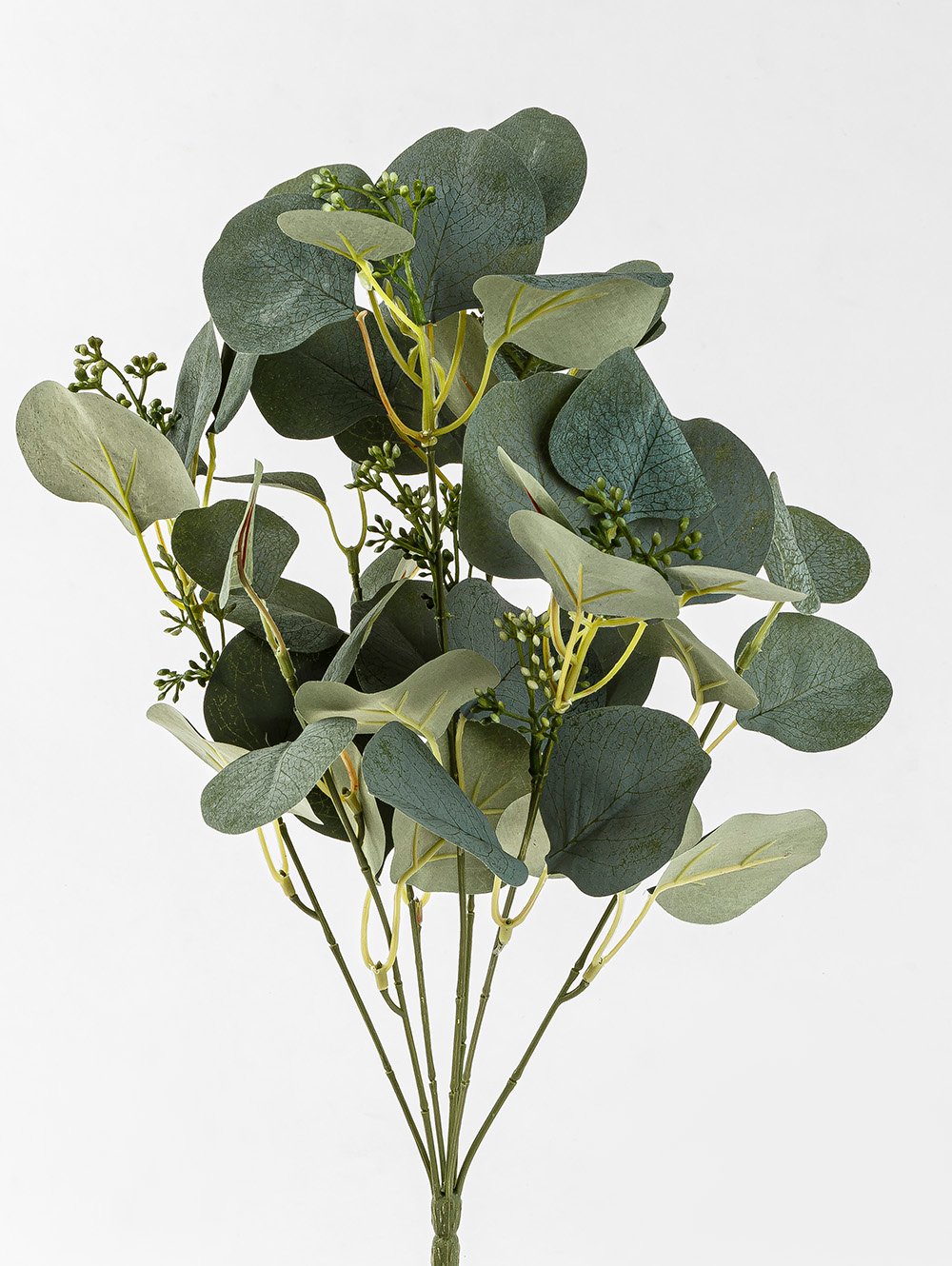 VARA EUCALIPTO ELISA image number null