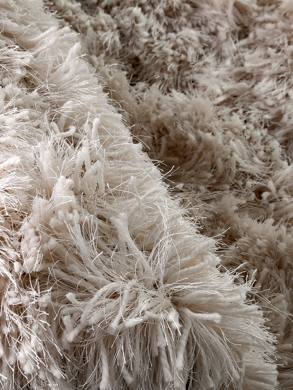 SHAGGY FUNKY image number null