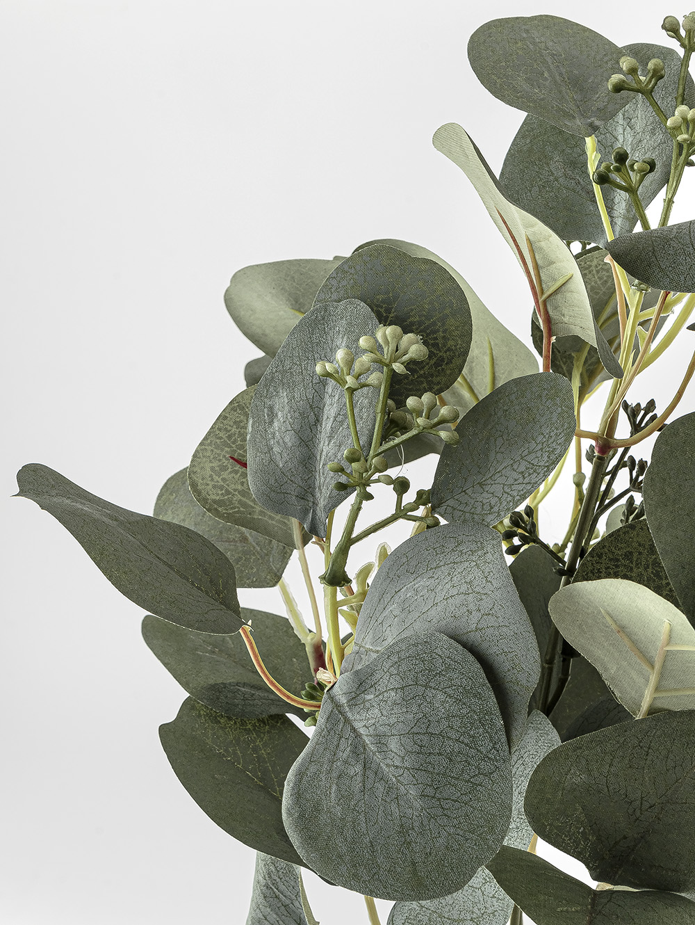 planta artificial-RAMO EUCALIPTO ELISA-LC CISNES-3.jpg image number null