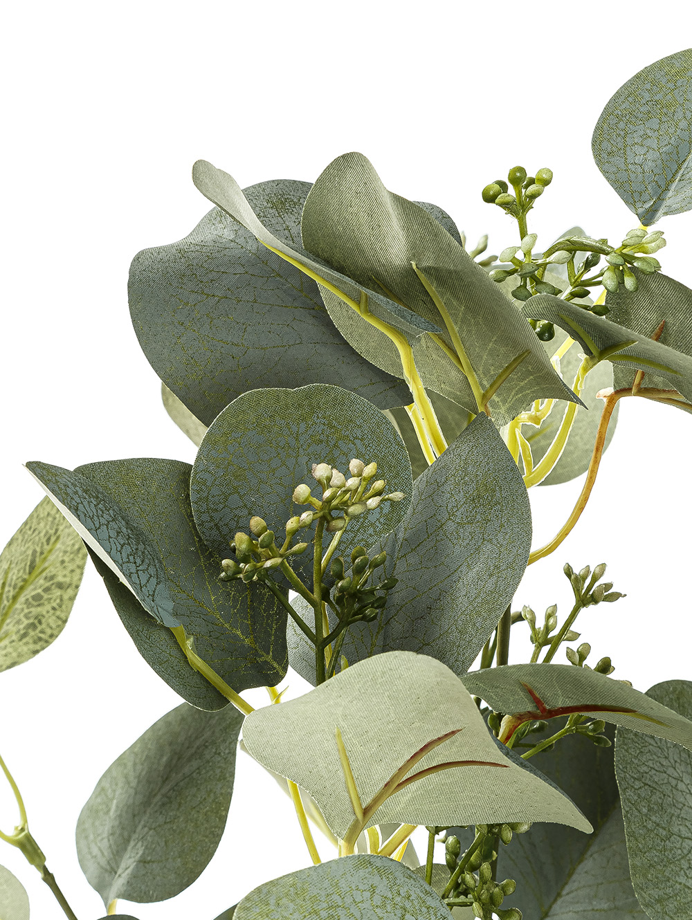 VARA EUCALIPTO ELISA image number null