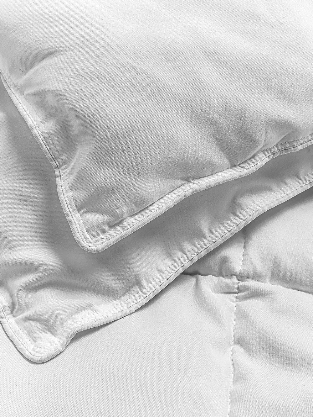 EDREDON CALIFORNIA image number null