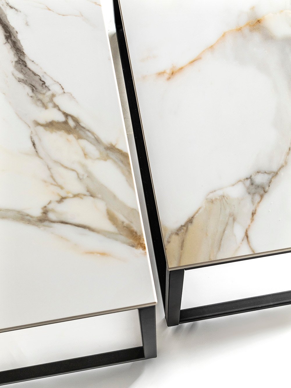 MESA BAJA PALM image number null