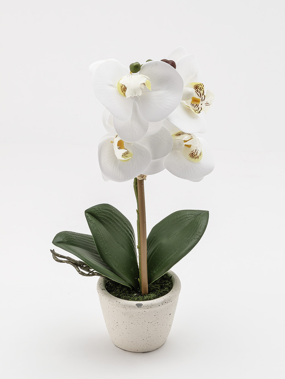 flores artificiales-ORQUIDEA GIULIA M WHITE-TOP-4.jpg image number null