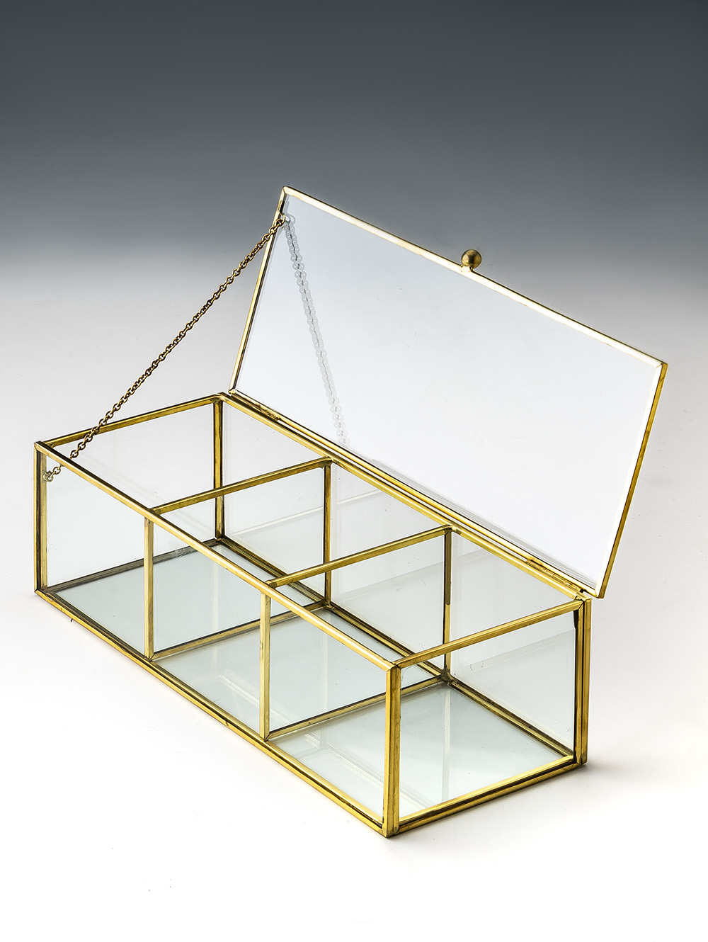 CAJA BATES image number null