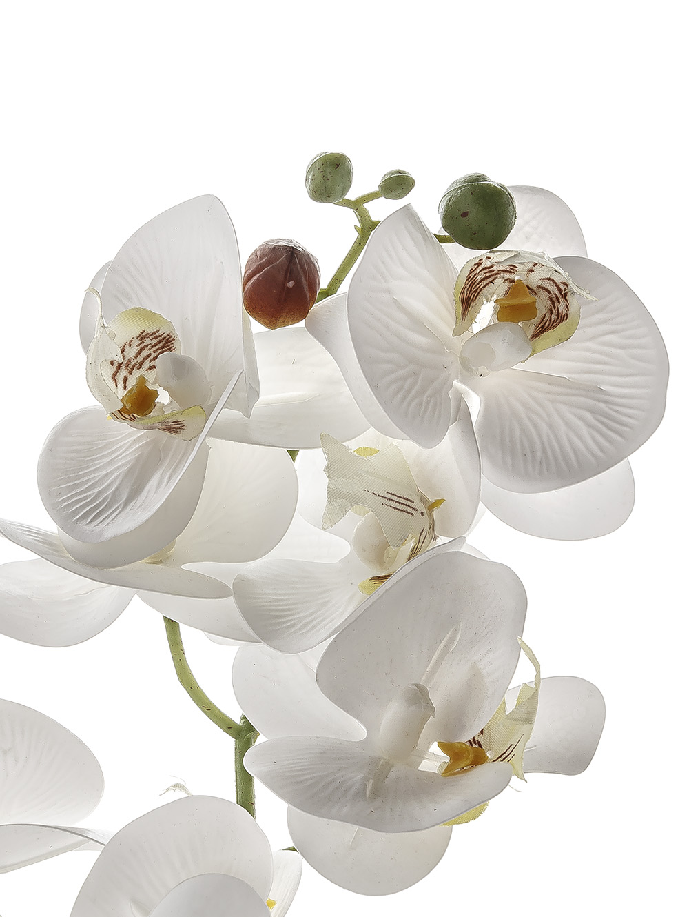 flores artificiales-ORQUIDEA GIULIA L CEMENTO-TOP-8.jpg image number null