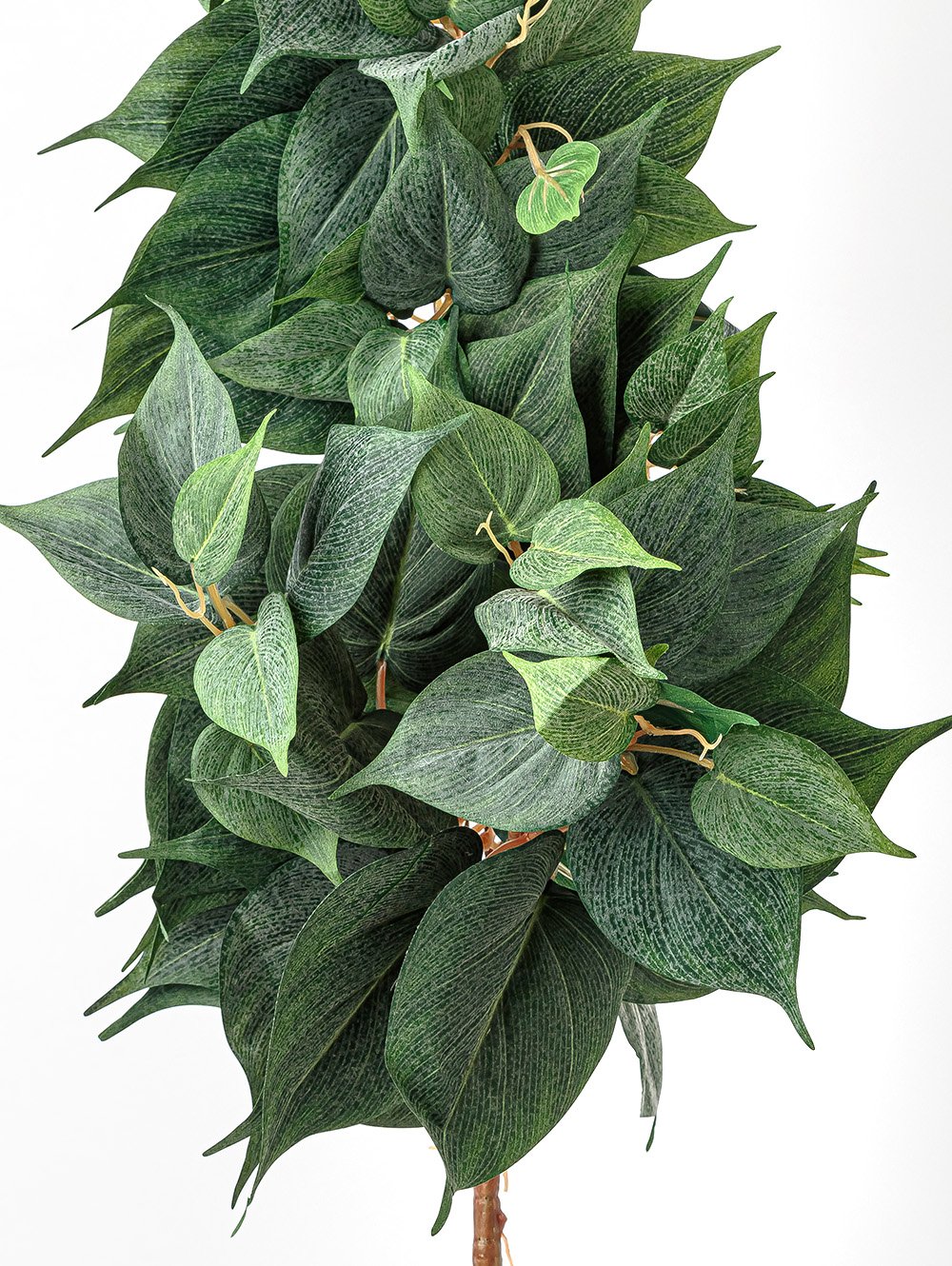 POTUS COLGANTE image number null