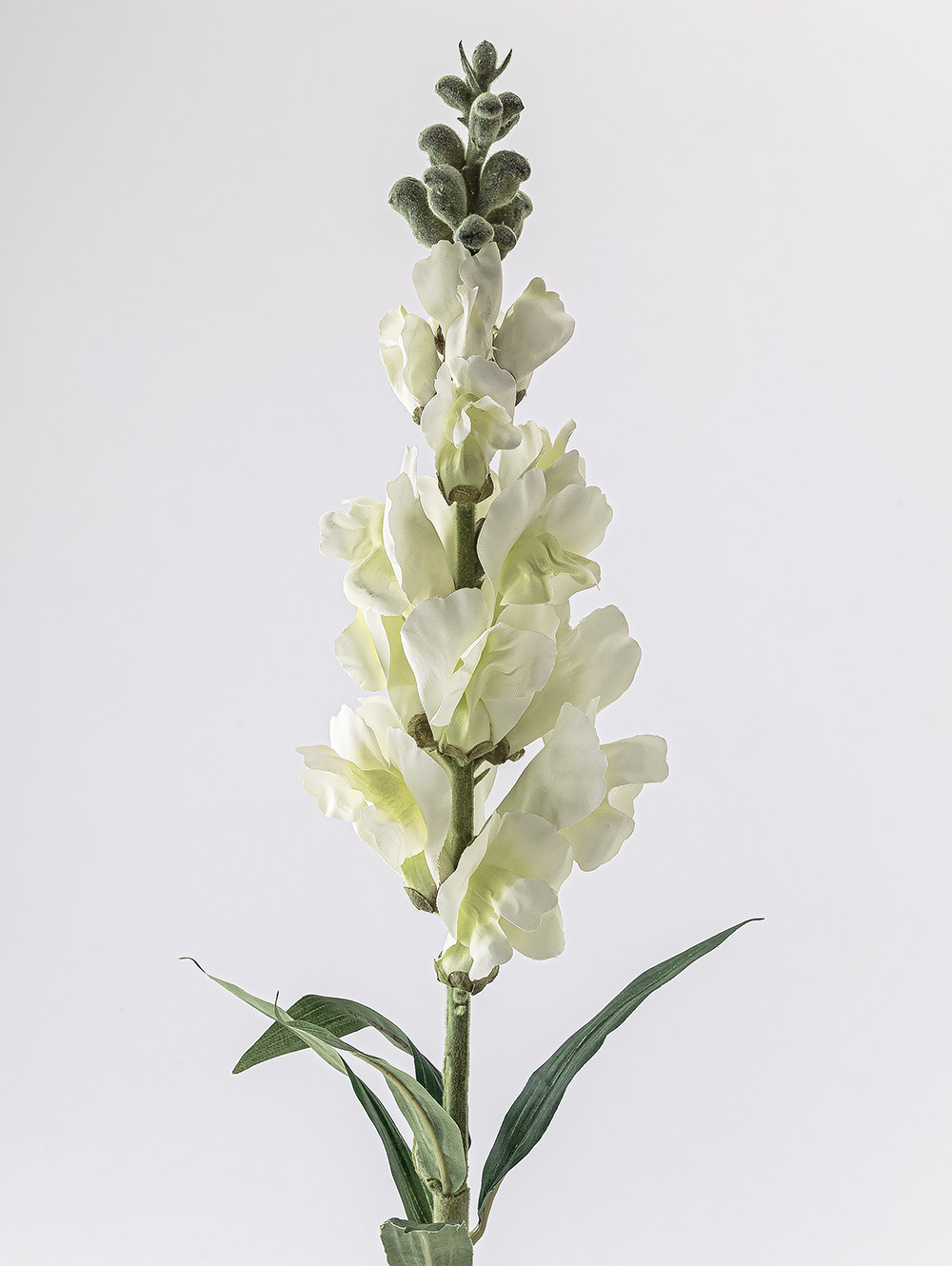 planta artificial-VARA CONEJITO ELISA-LC CISNES-2.jpg image number null