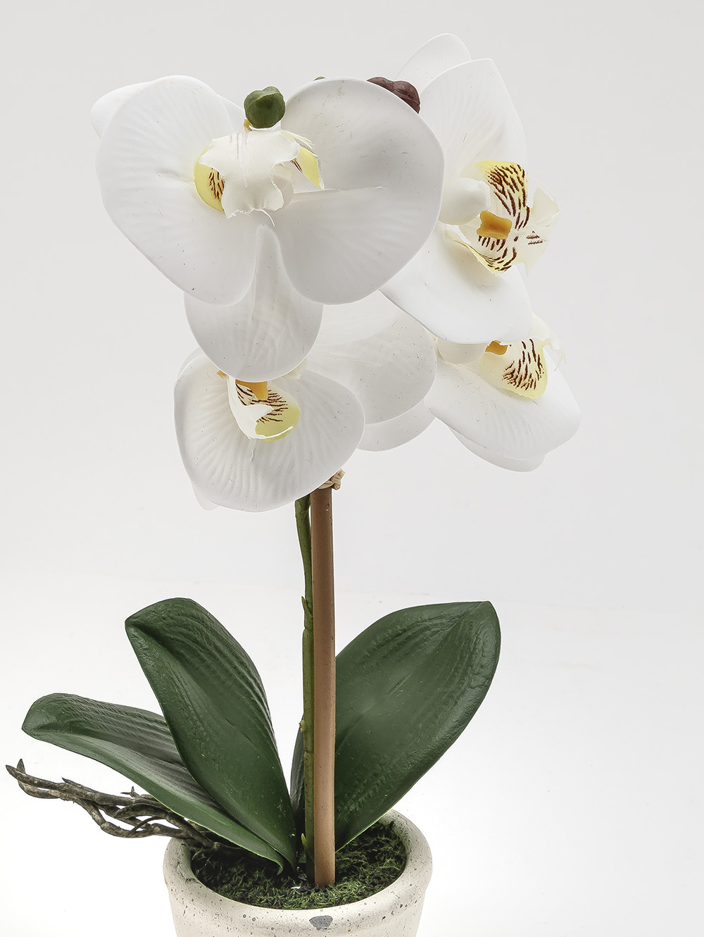 flores artificiales-ORQUIDEA GIULIA M WHITE-TOP-1.jpg image number null
