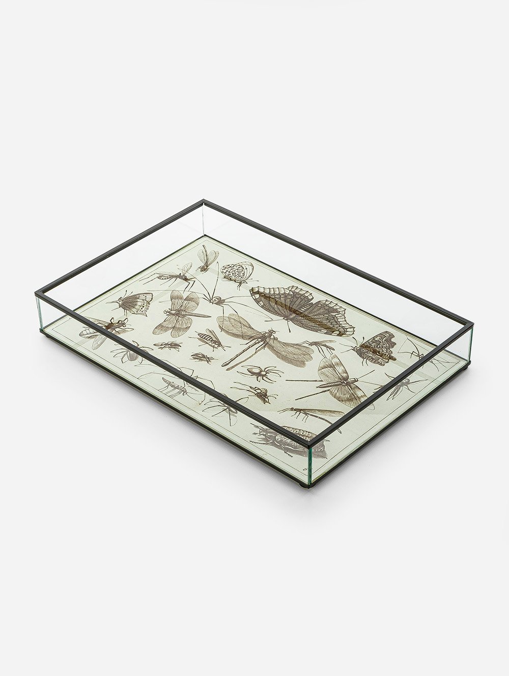 BANDEJA BITELY image number null