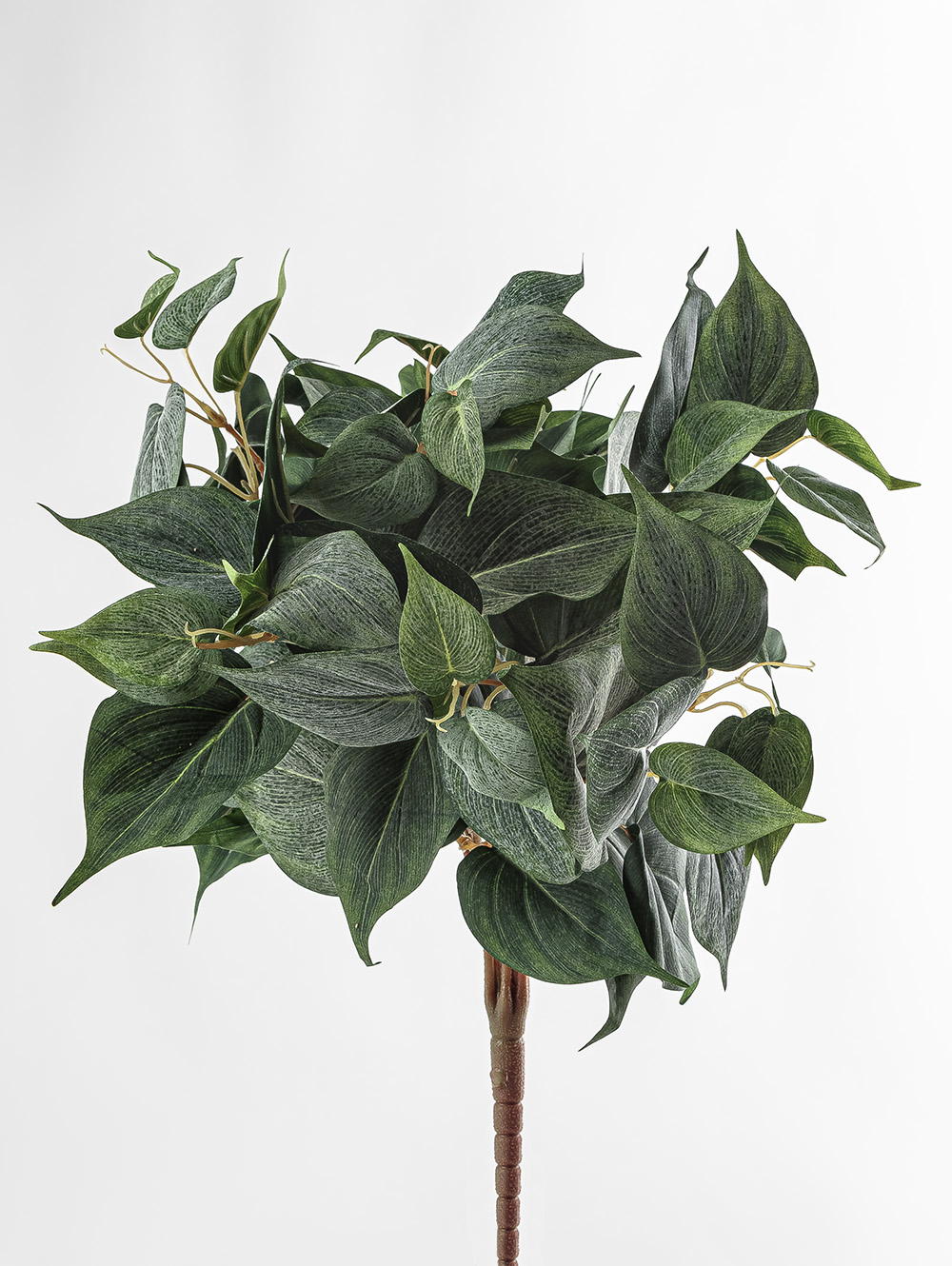 planta artificial-POTUS RAMO-LC CISNES-2.jpg image number null