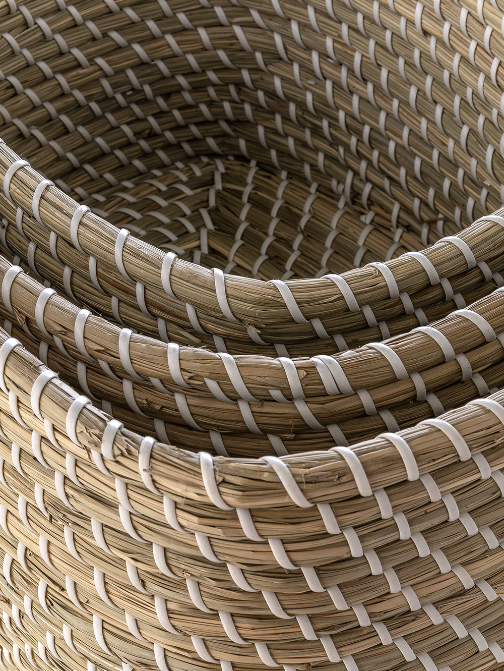 ORGANIZADOR PAIVA image number null