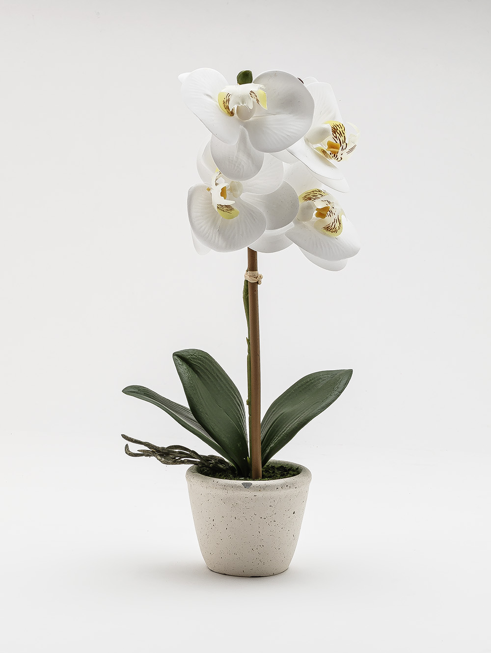 flores artificiales-ORQUIDEA GIULIA M WHITE-TOP-2.jpg image number null