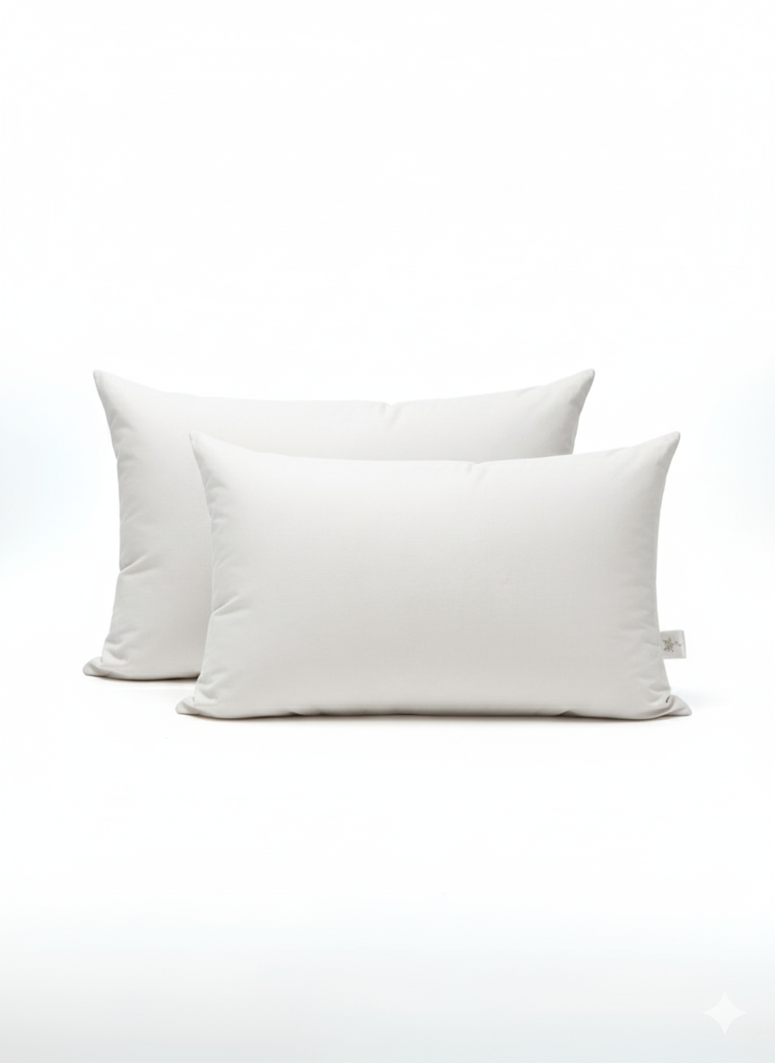 ALMOHADA DE DUVET CLASICA image number null