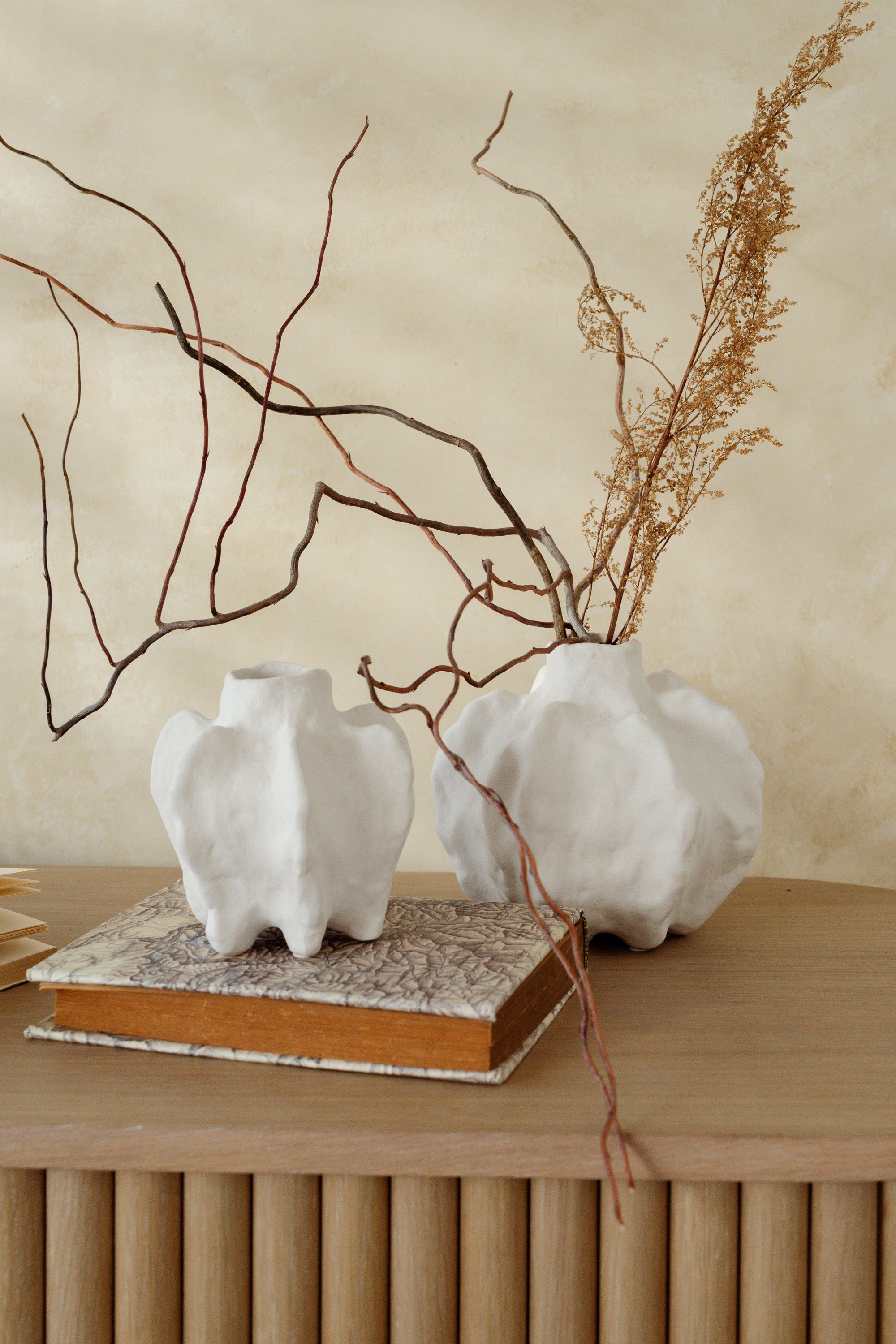 JARRON SUSAO image number null