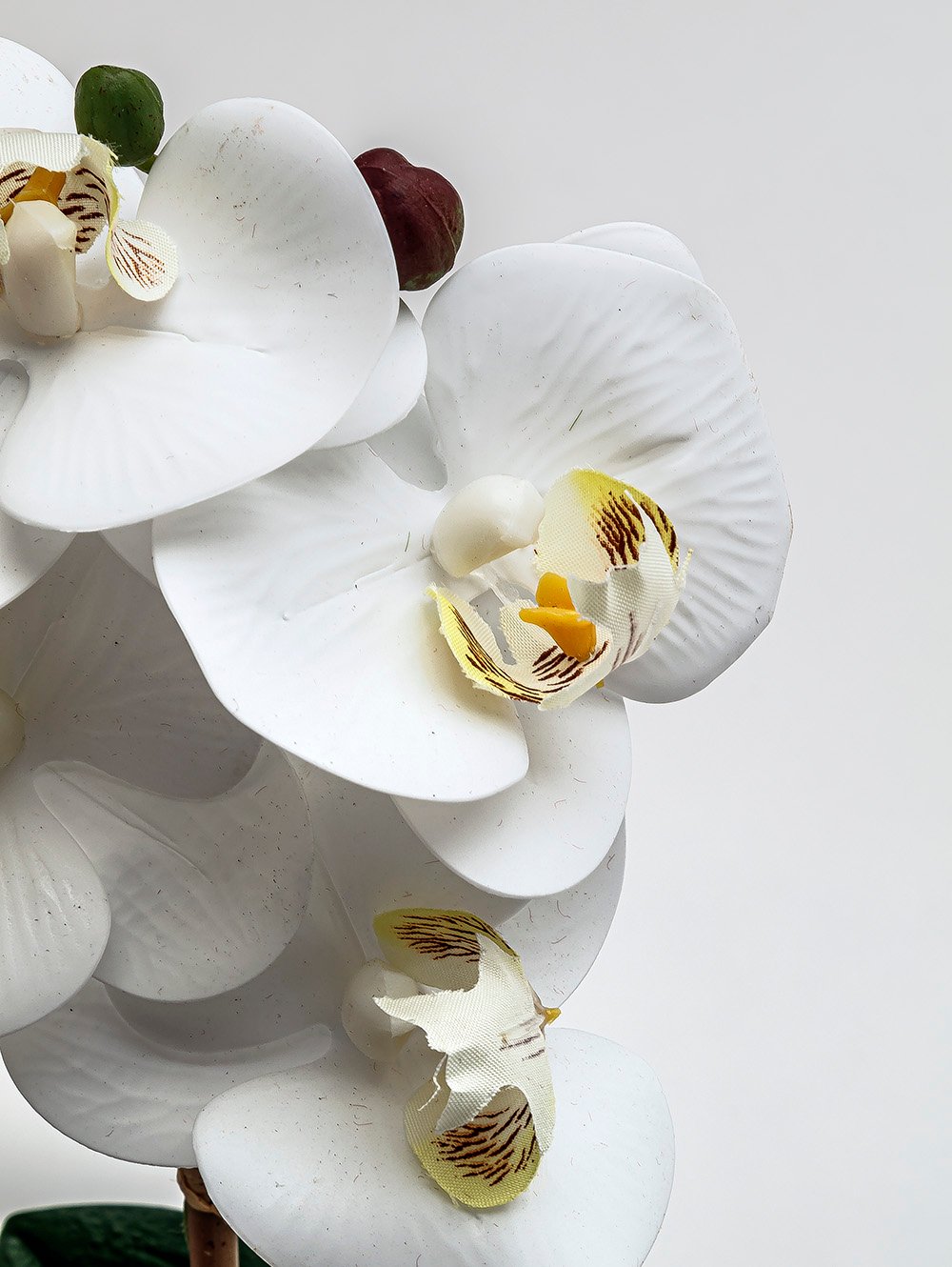 flores artificiales-ORQUIDEA GIULIA M WHITE-TOP-11.jpg image number null