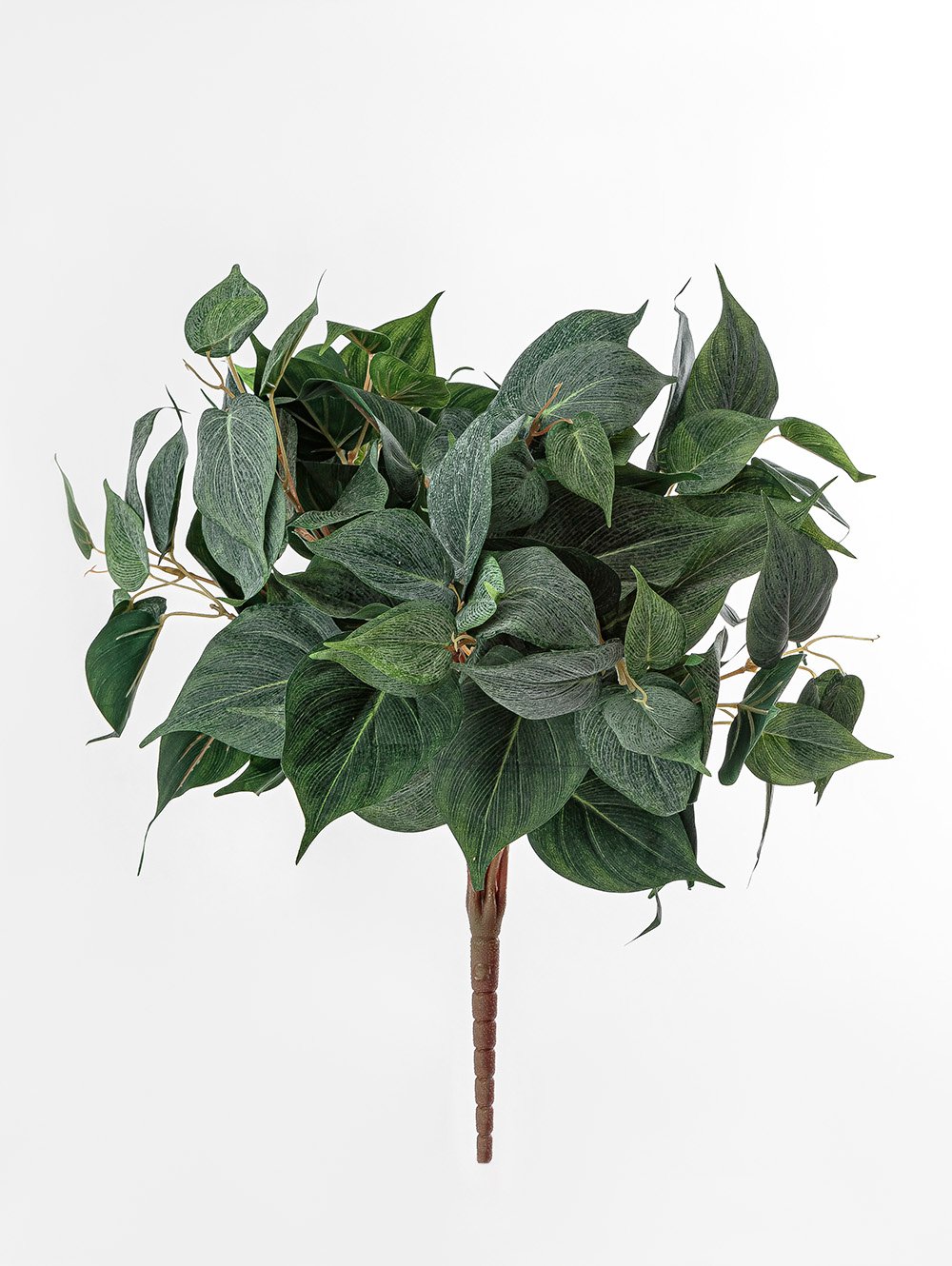 POTUS RAMO image number null