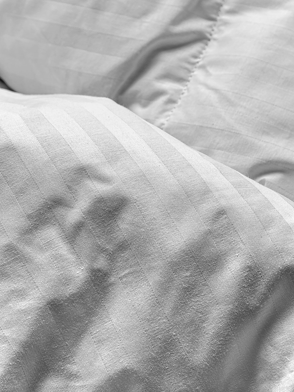 EDREDON CHICAGO image number null