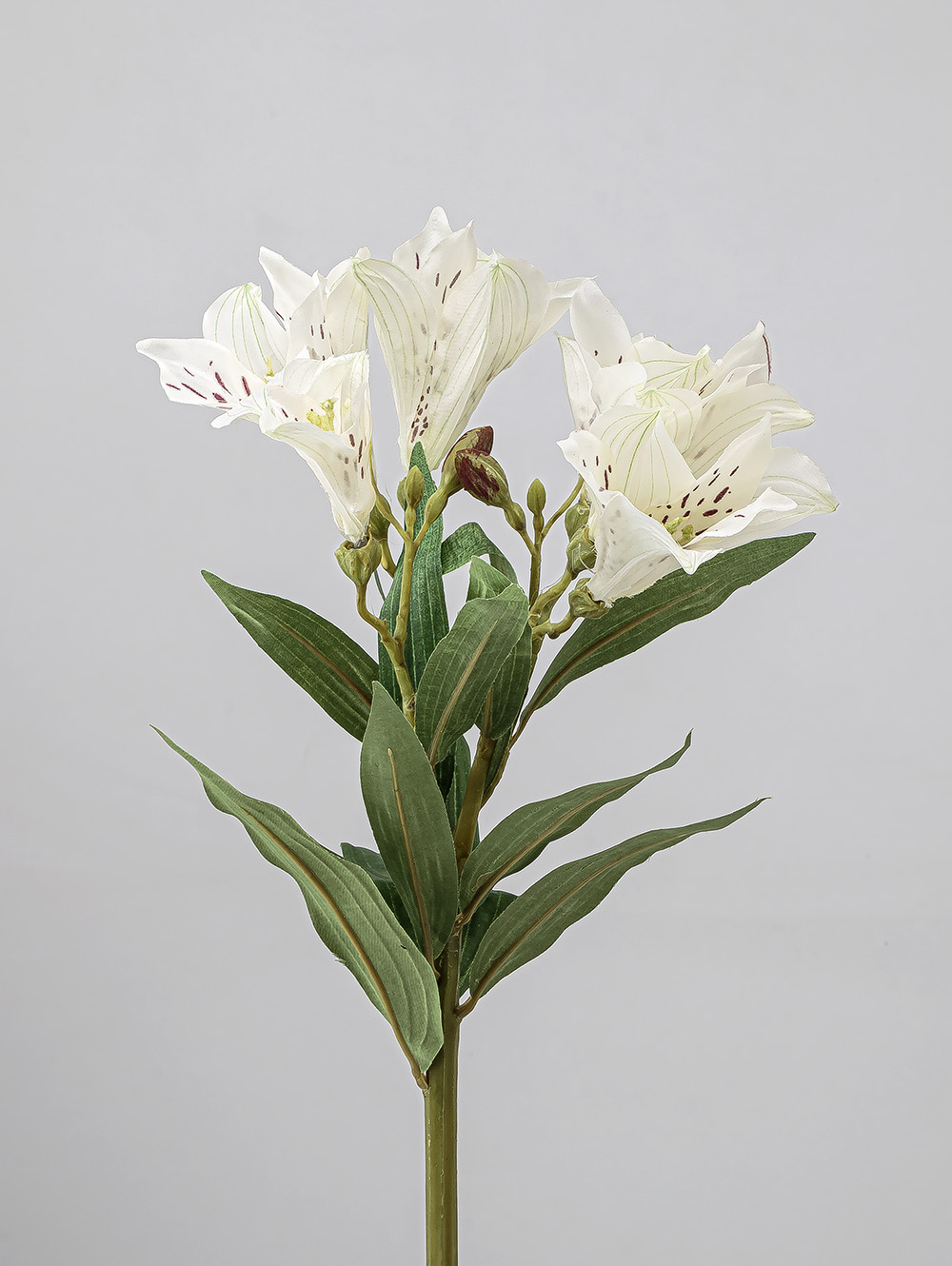 planta-artificial-VARA-LIRIO-LC-CISNES-2.jpg image number null