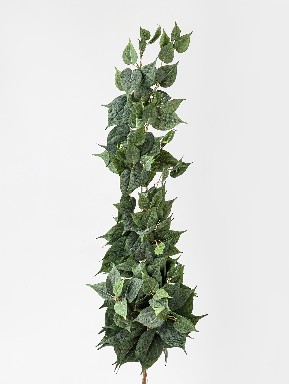 POTUS COLGANTE image number null