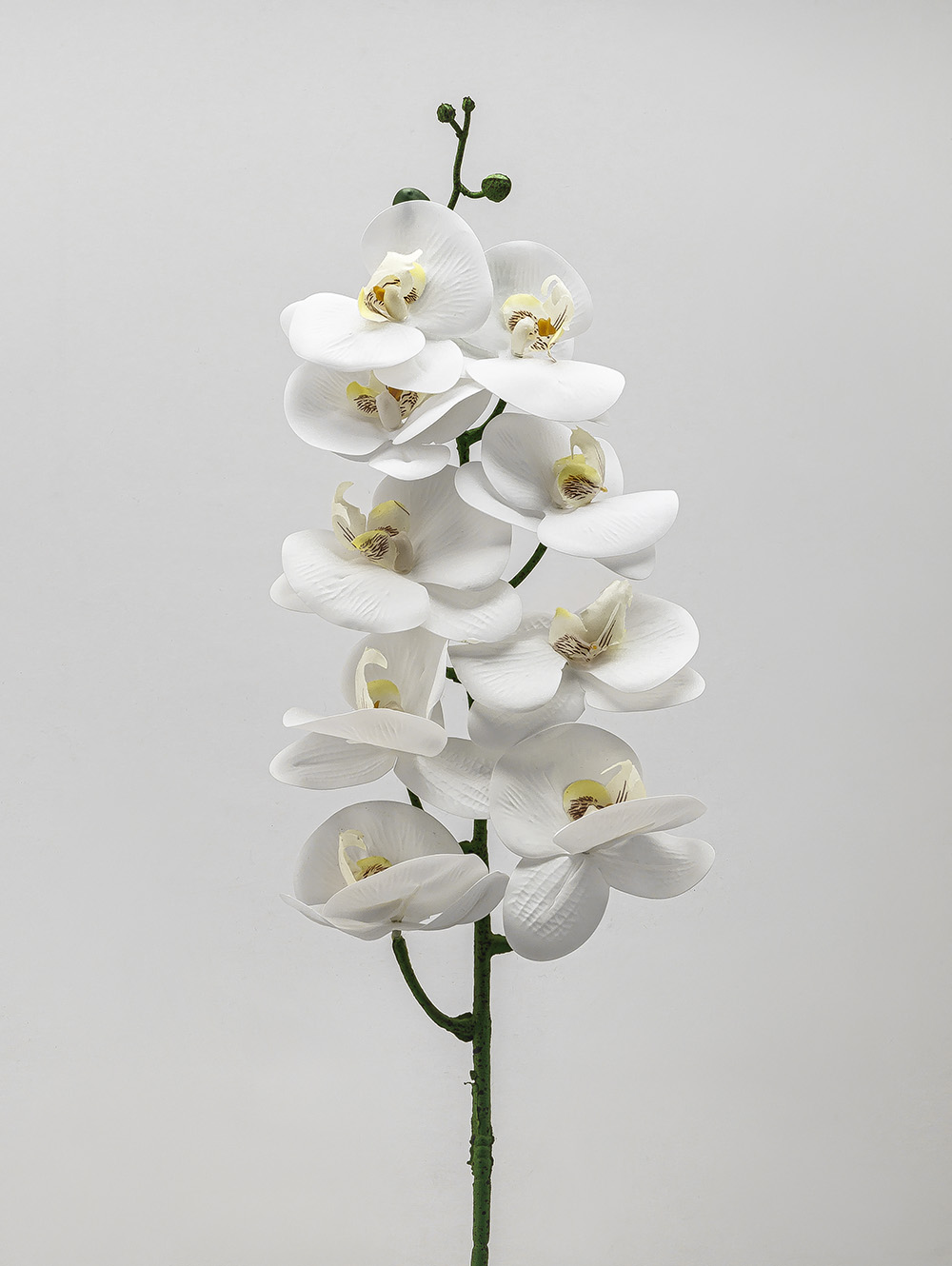 flores artificiales-VARA ORQUIDEA TESS WHITE-TOP-2.jpg image number null
