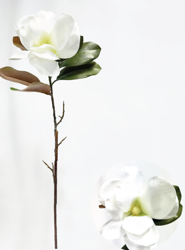 VARA MAGNOLIA ELISA WHITE image number null