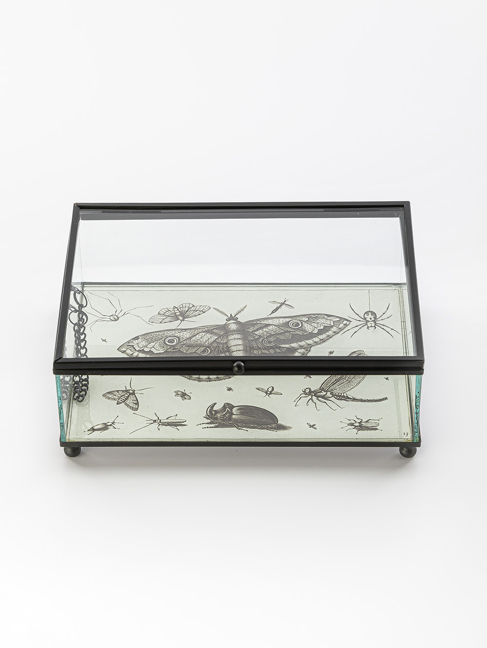 CAJA DE VIDRIO BITELY image number null