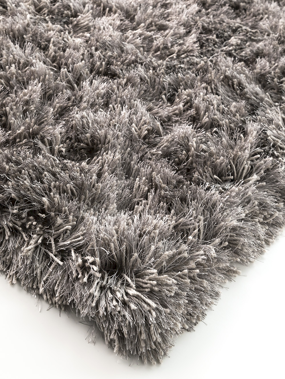 SHAGGY FUNKY image number null