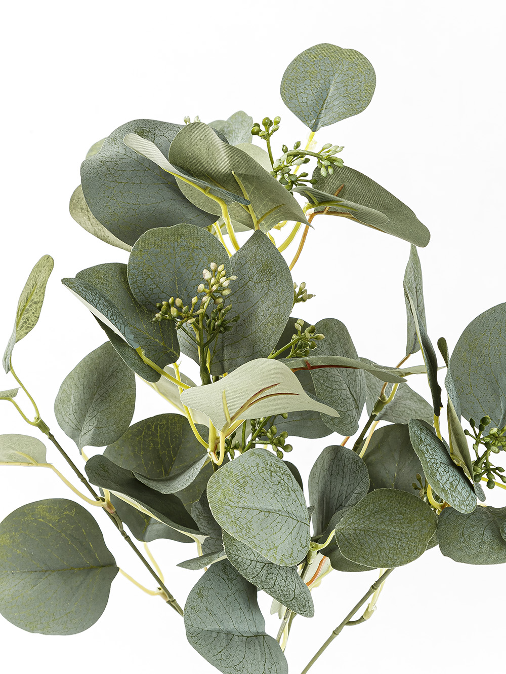 VARA EUCALIPTO ELISA image number null