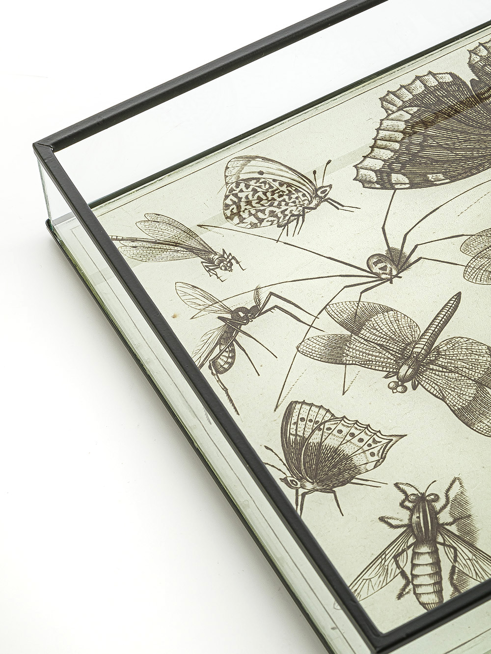 BANDEJA BITELY-TAI-3.jpg image number null