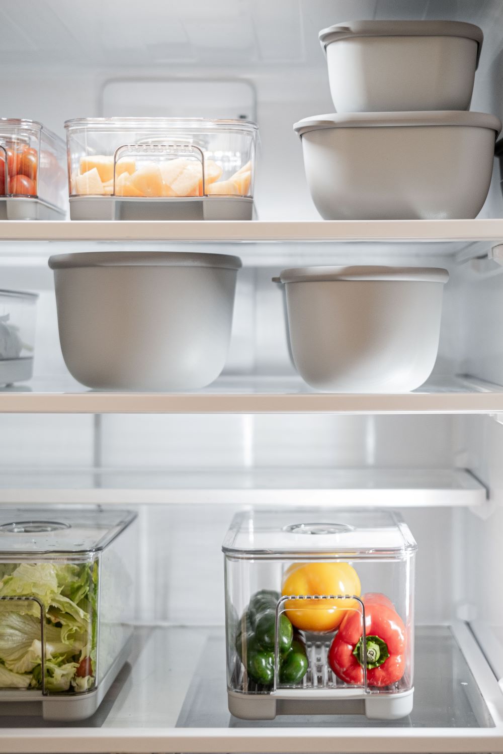 CONTENEDOR SASHA image number null