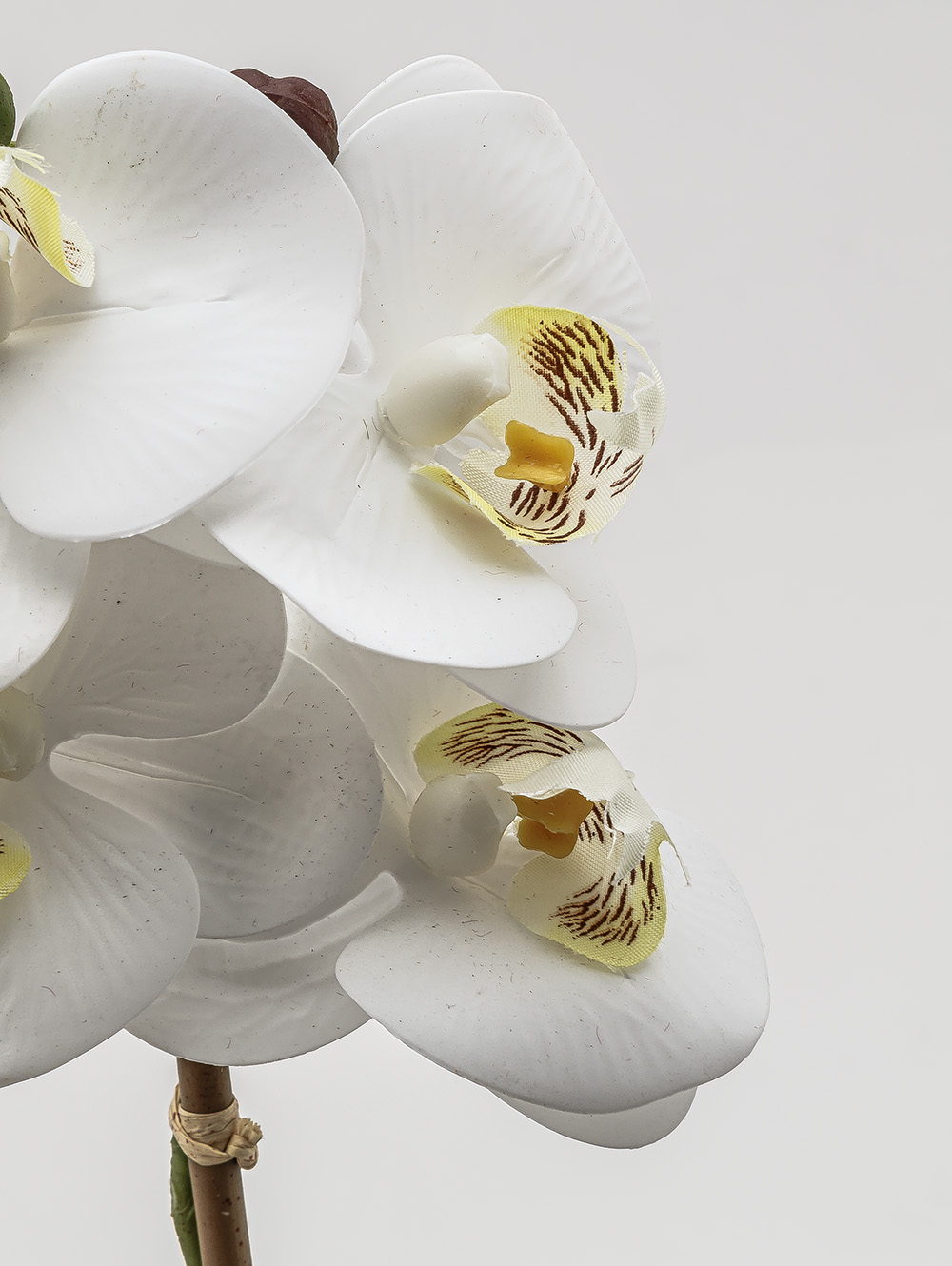 flores artificiales-ORQUIDEA GIULIA M WHITE-TOP-9.jpg image number null