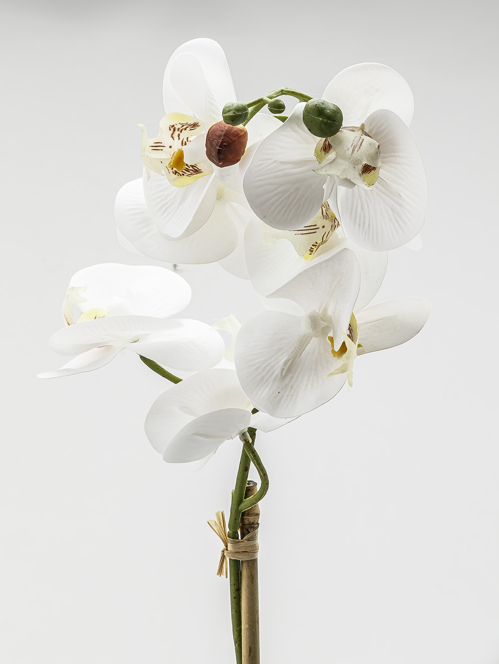 flores artificiales-ORQUIDEA GIULIA L CEMENTO-TOP-3.jpg image number null