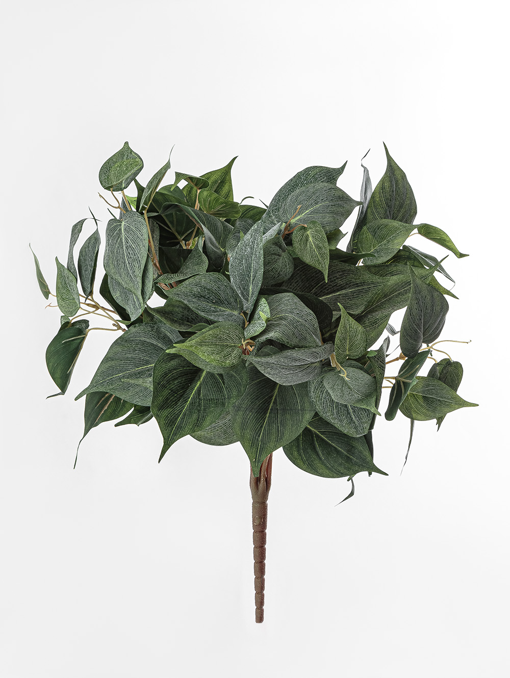 POTUS RAMO image number null