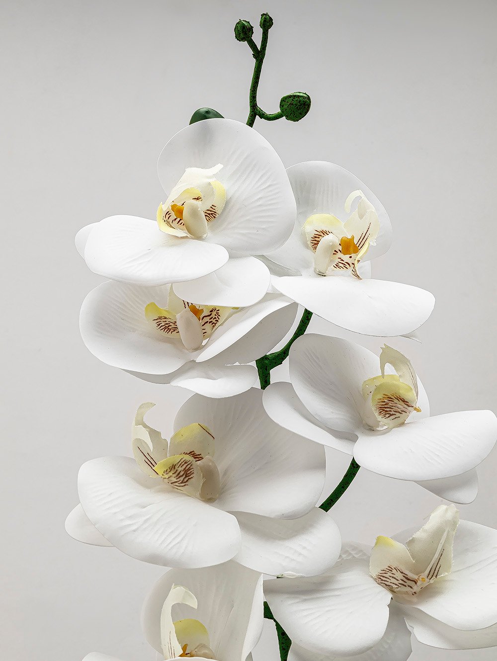 flores artificiales-VARA ORQUIDEA TESS WHITE-TOP-3.jpg image number null