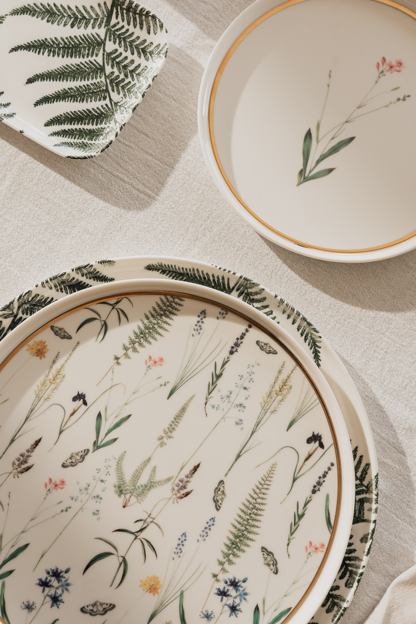 PLATO PLAYO BOTANICAL 27 CM LAI0008-1.jpg image number null