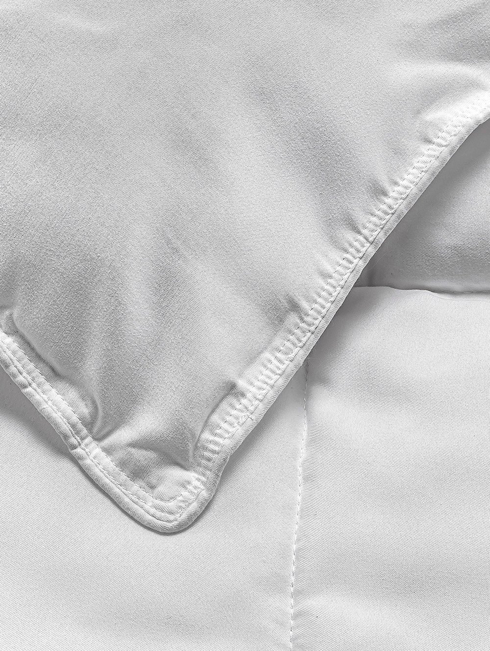 EDREDON CALIFORNIA image number null