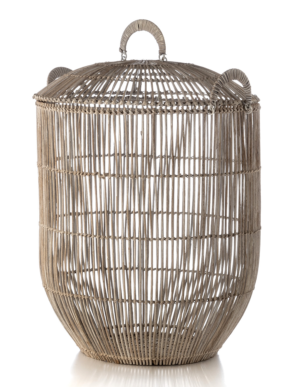 CANASTO DAGMAR image number null