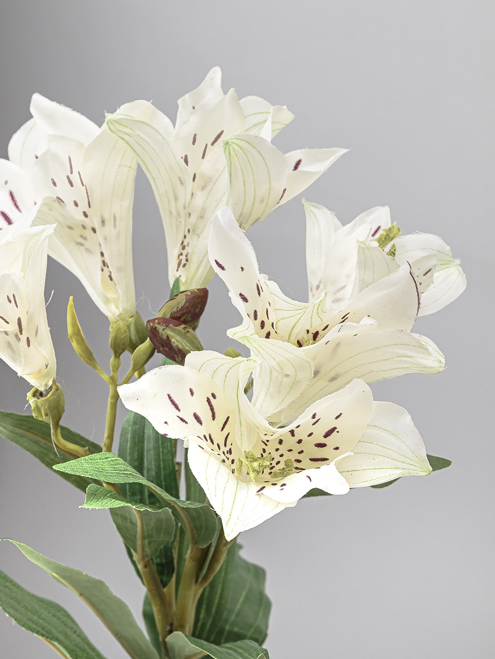 VARA LIRIO image number null